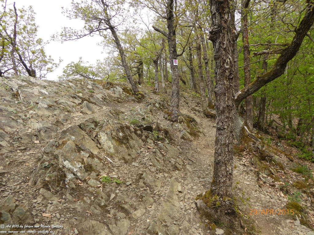 Philosophische Bildwanderung Murscher Eselsche - Hunsrück