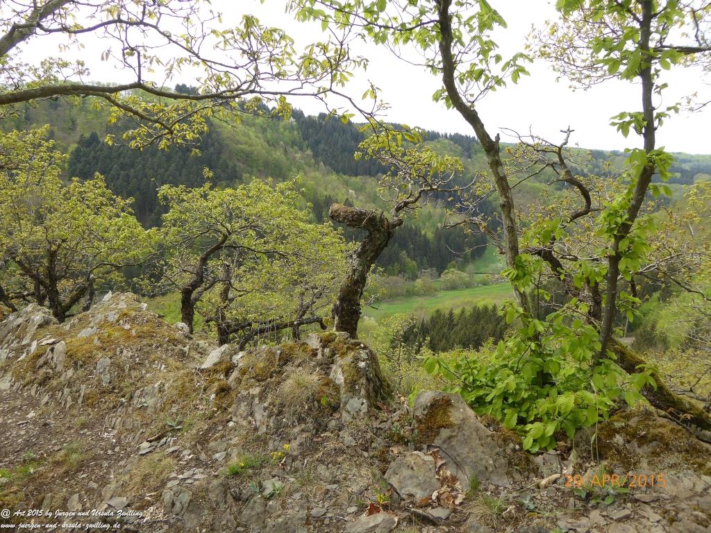 Philosophische Bildwanderung Murscher Eselsche - Hunsrück
