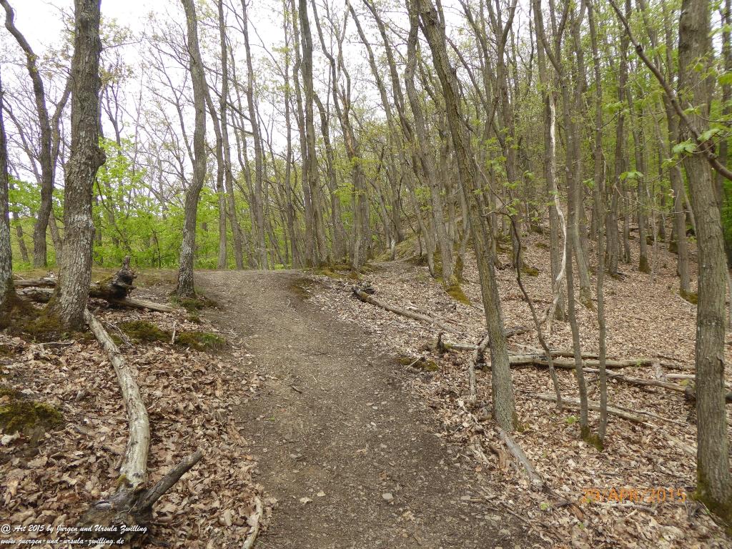 Philosophische Bildwanderung Murscher Eselsche - Hunsrück