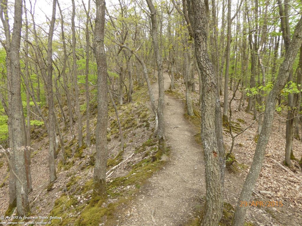 Philosophische Bildwanderung Murscher Eselsche - Hunsrück