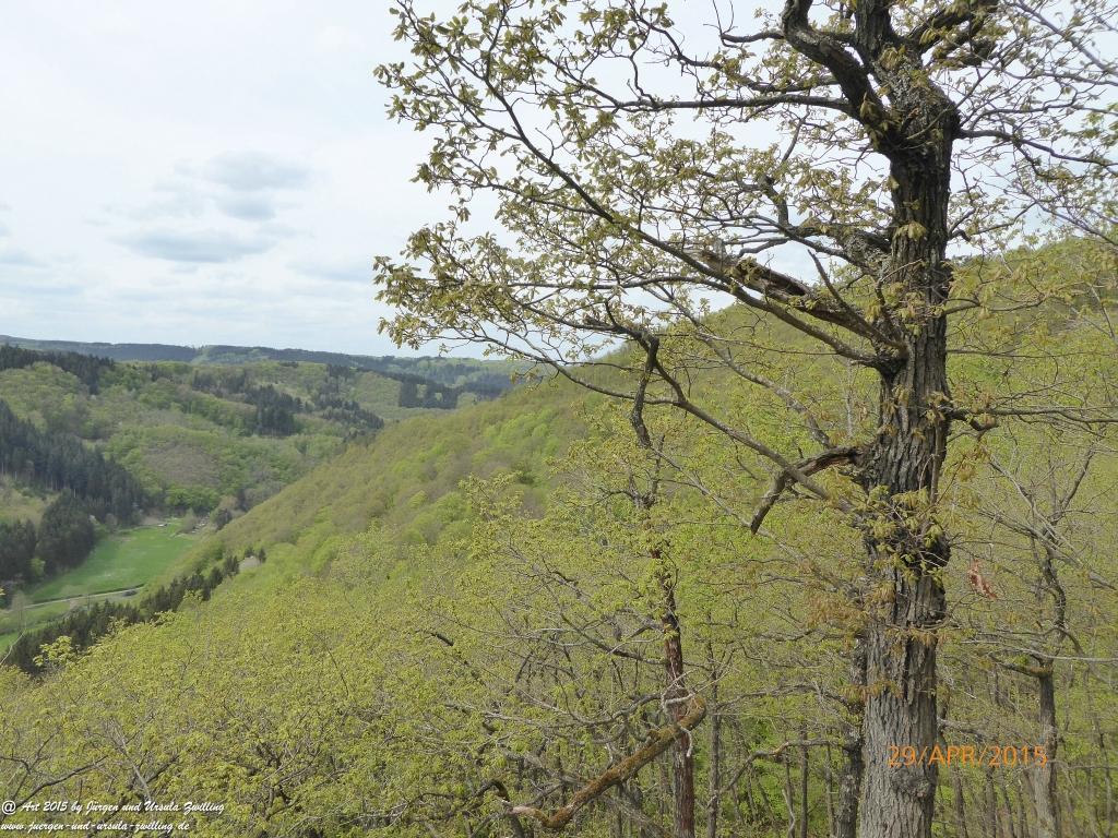Philosophische Bildwanderung Murscher Eselsche - Hunsrück