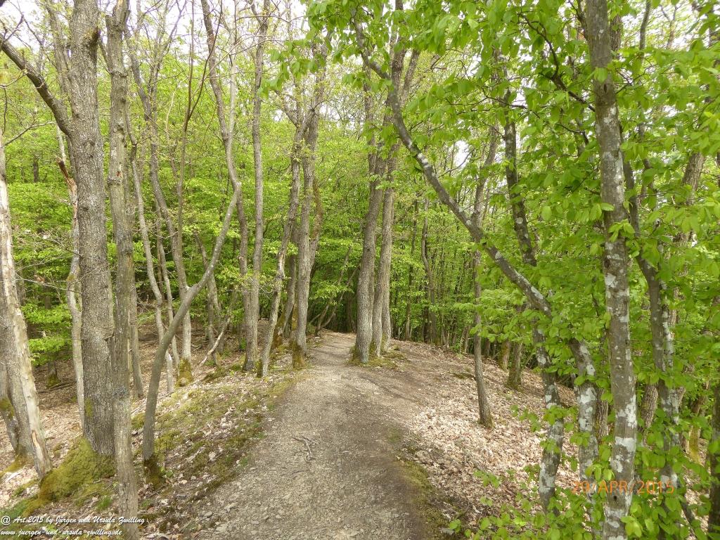 Philosophische Bildwanderung Murscher Eselsche - Hunsrück