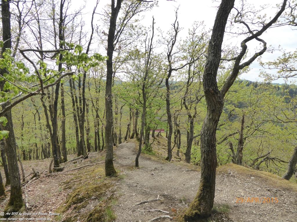 Philosophische Bildwanderung Murscher Eselsche - Hunsrück