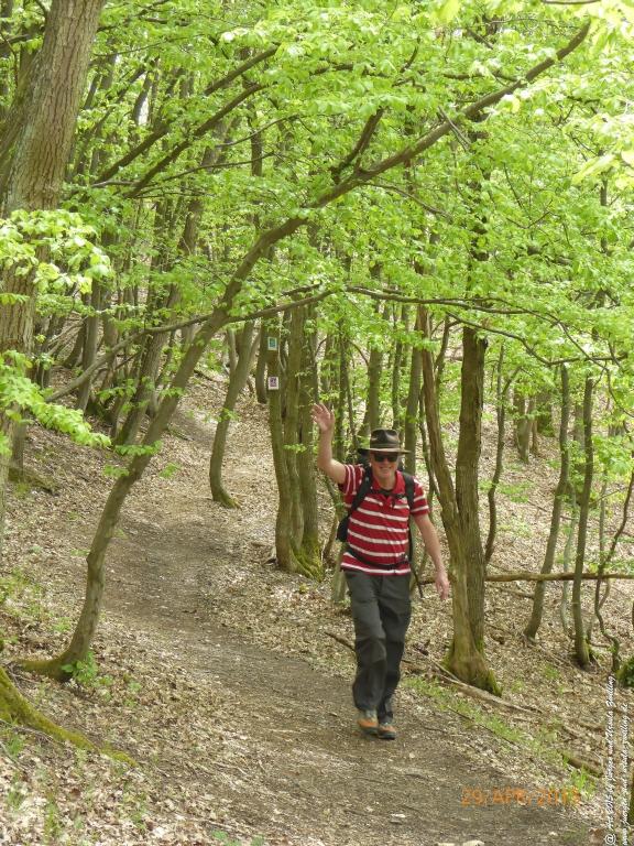 Philosophische Bildwanderung Murscher Eselsche - Hunsrück