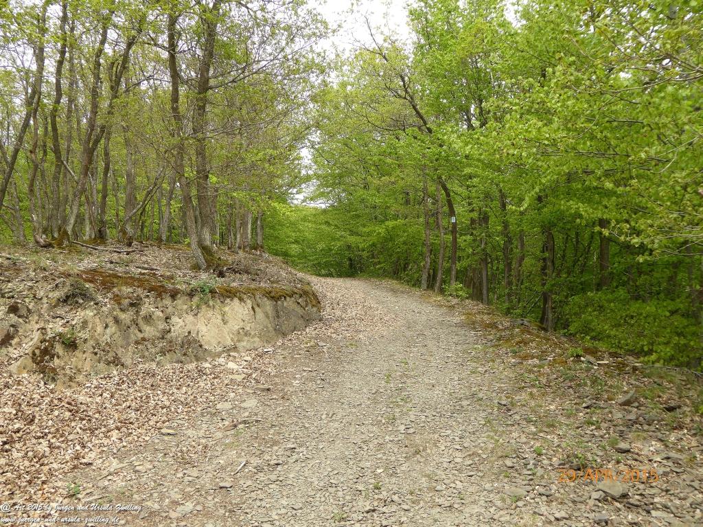 Philosophische Bildwanderung Murscher Eselsche - Hunsrück