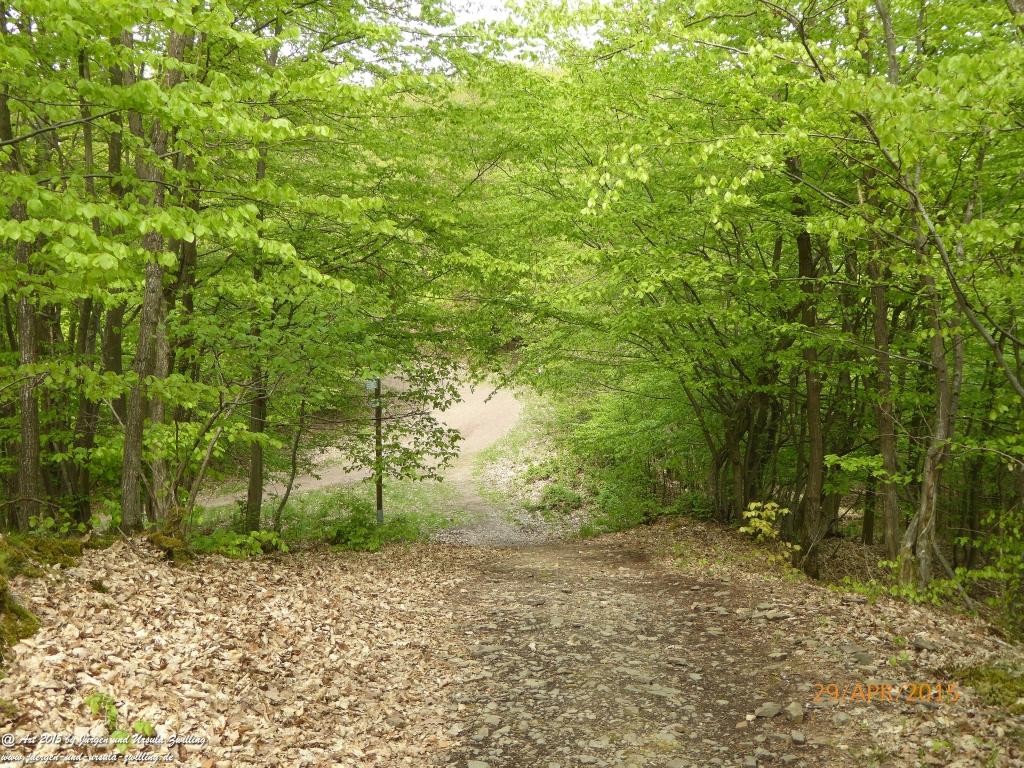Philosophische Bildwanderung Murscher Eselsche - Hunsrück