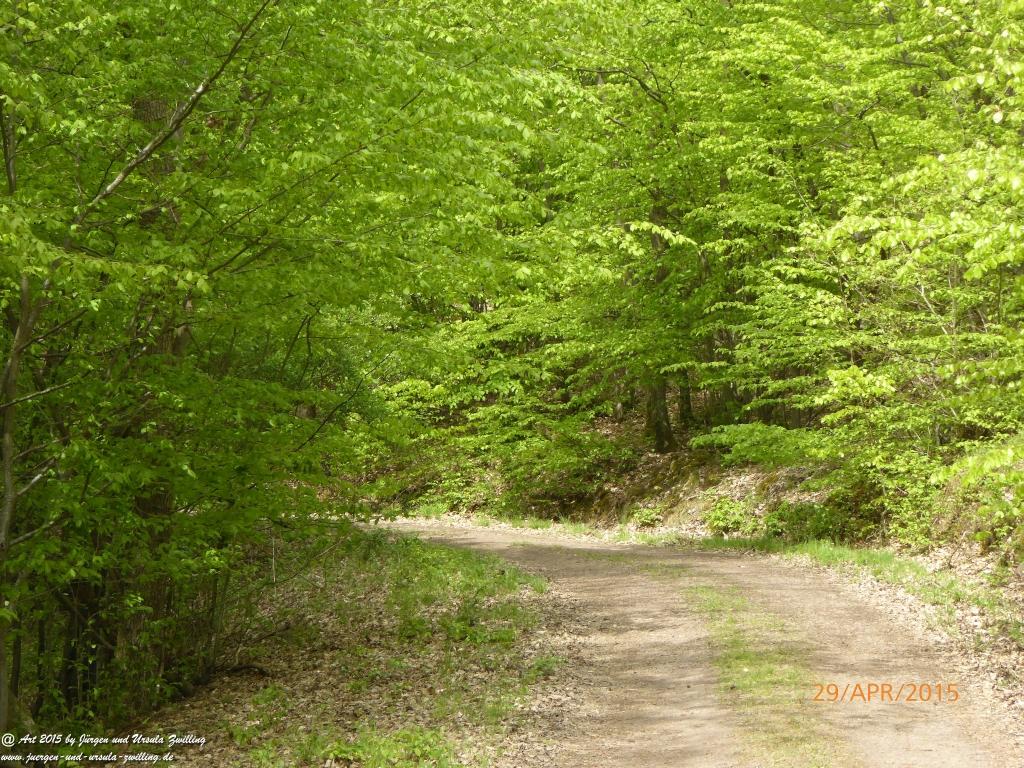 Philosophische Bildwanderung Murscher Eselsche - Hunsrück