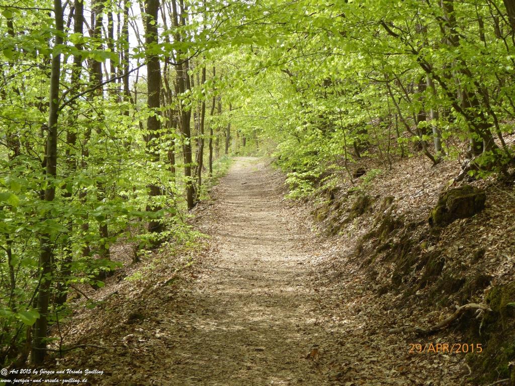 Philosophische Bildwanderung Murscher Eselsche - Hunsrück