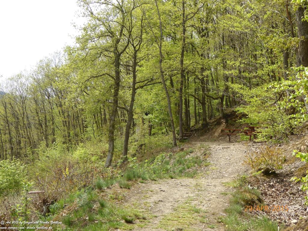 Philosophische Bildwanderung Murscher Eselsche - Hunsrück