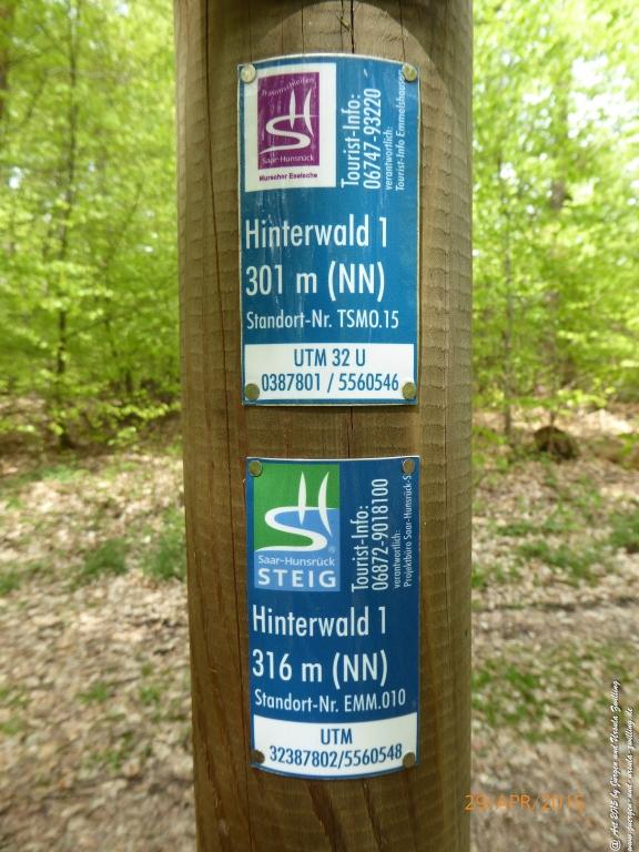 Philosophische Bildwanderung Murscher Eselsche - Hunsrück