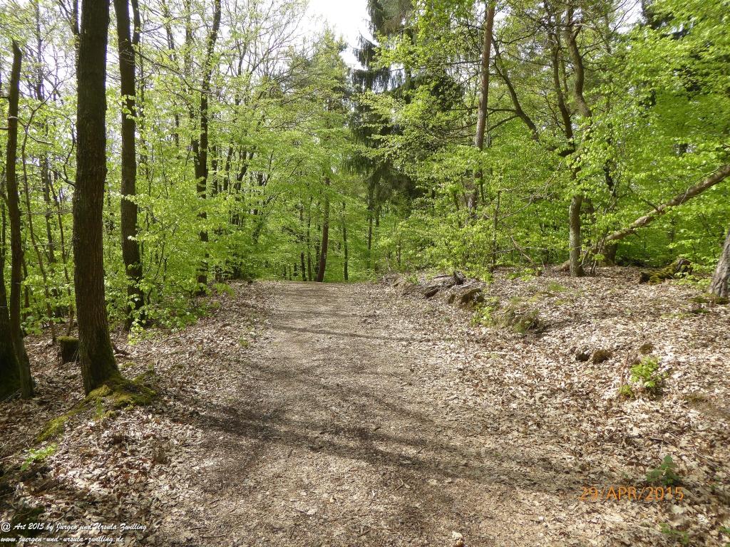 Philosophische Bildwanderung Murscher Eselsche - Hunsrück