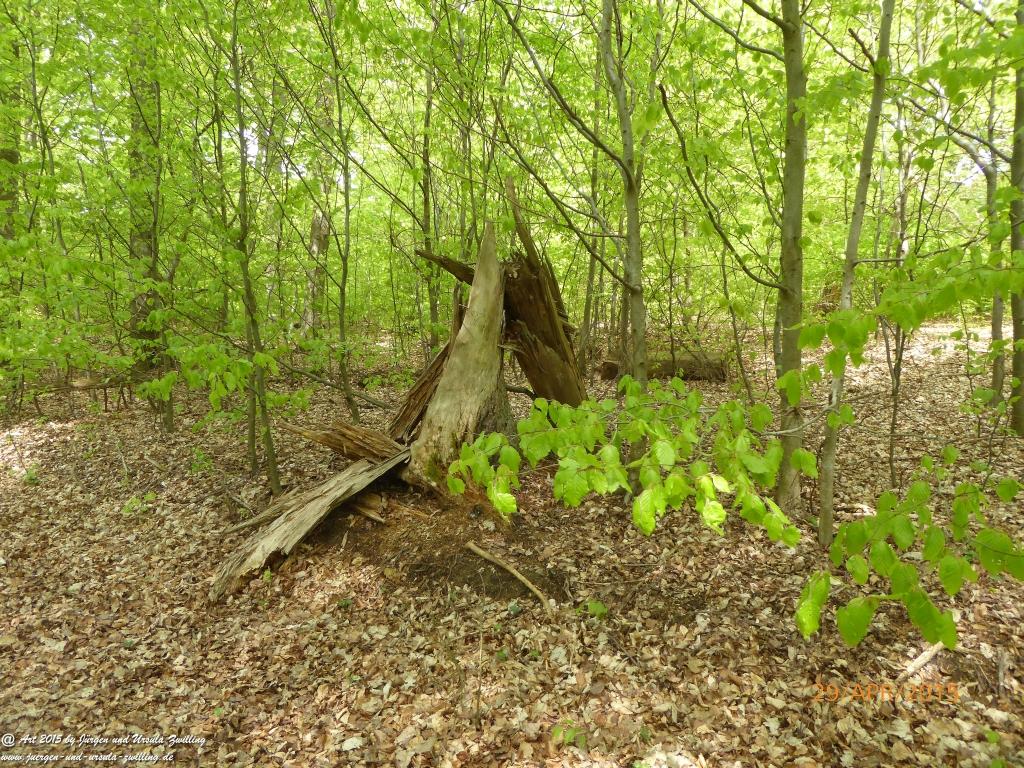 Philosophische Bildwanderung Murscher Eselsche - Hunsrück