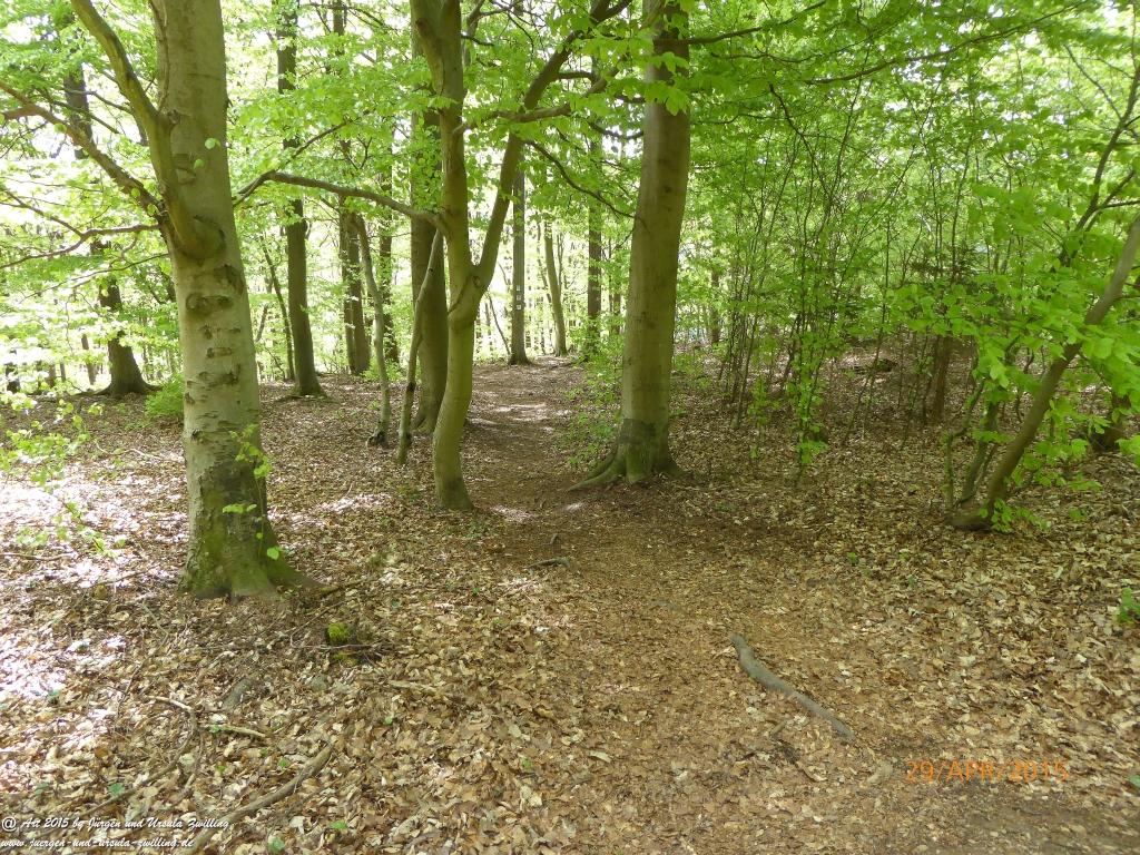 Philosophische Bildwanderung Murscher Eselsche - Hunsrück