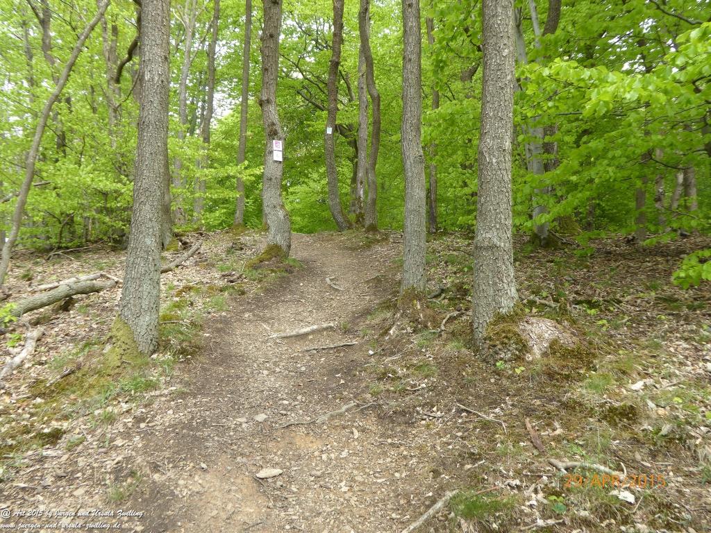 Philosophische Bildwanderung Murscher Eselsche - Hunsrück