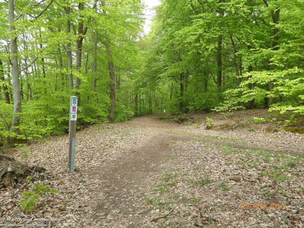 Philosophische Bildwanderung Murscher Eselsche - Hunsrück