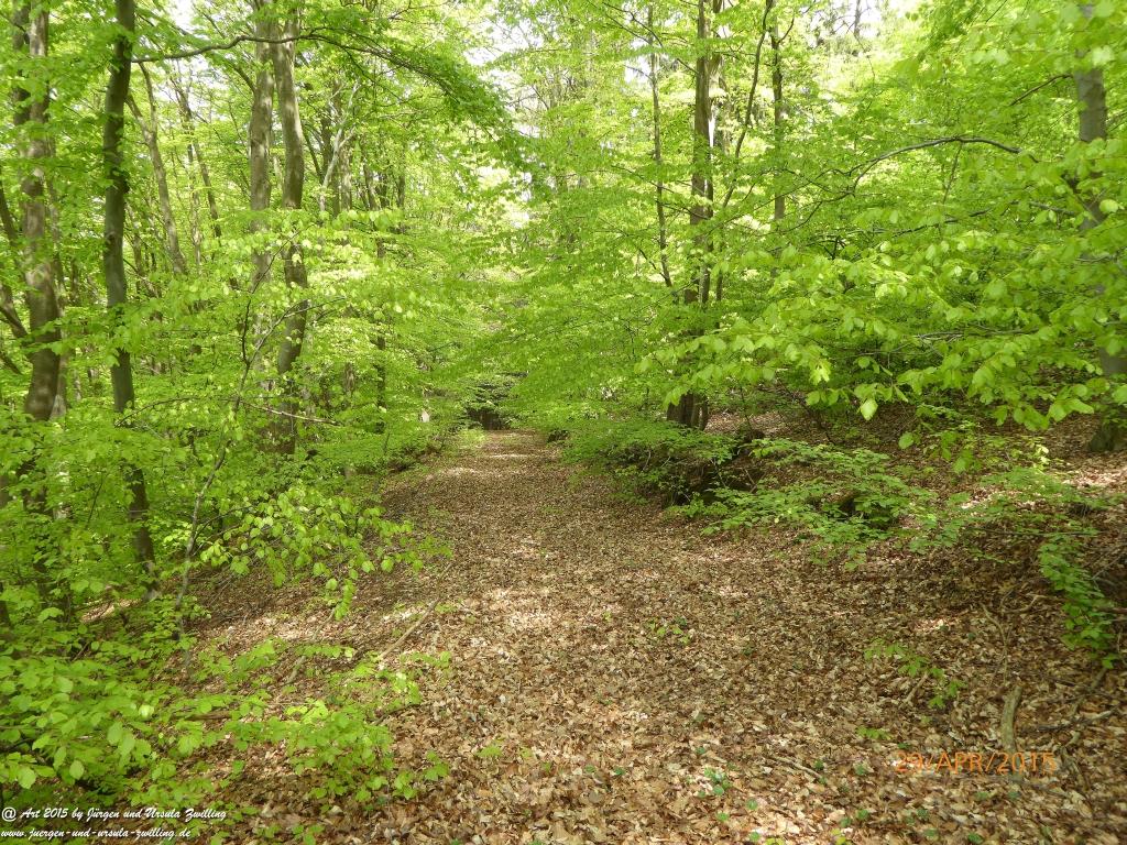 Philosophische Bildwanderung Murscher Eselsche - Hunsrück