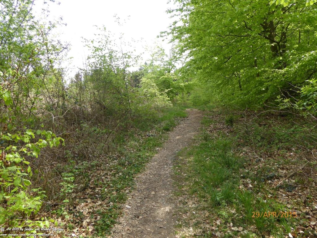 Philosophische Bildwanderung Murscher Eselsche - Hunsrück