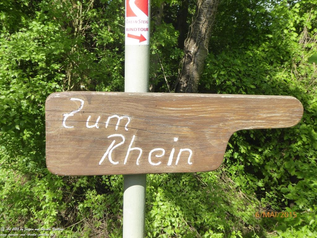 Philosophische Bildwanderung Loreley-Extratour im Mittelrheintal - Zum Superstar der Rheinromantik