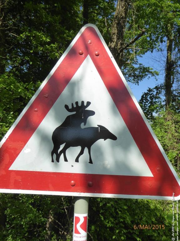 Philosophische Bildwanderung Loreley-Extratour im Mittelrheintal - Zum Superstar der Rheinromantik