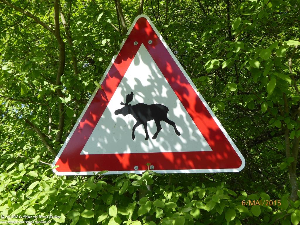 Philosophische Bildwanderung Loreley-Extratour im Mittelrheintal - Zum Superstar der Rheinromantik