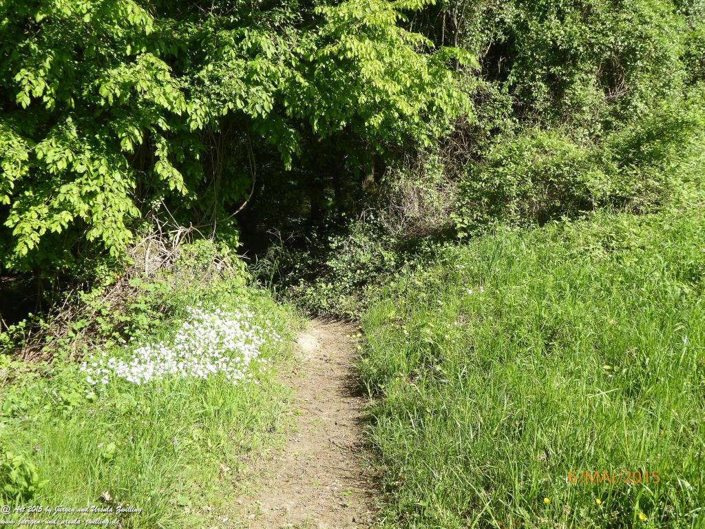 Philosophische Bildwanderung Loreley-Extratour im Mittelrheintal - Zum Superstar der Rheinromantik