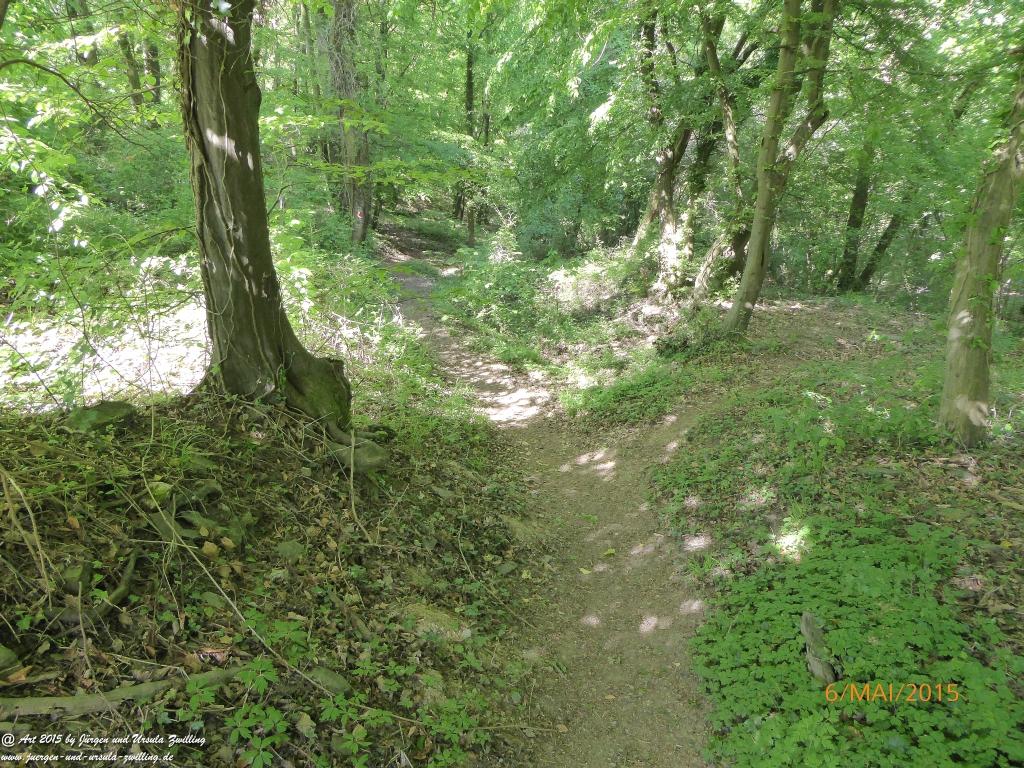 Philosophische Bildwanderung Loreley-Extratour im Mittelrheintal - Zum Superstar der Rheinromantik