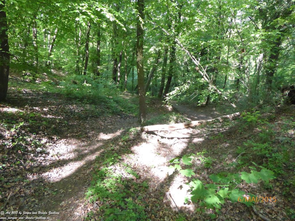 Philosophische Bildwanderung Loreley-Extratour im Mittelrheintal - Zum Superstar der Rheinromantik