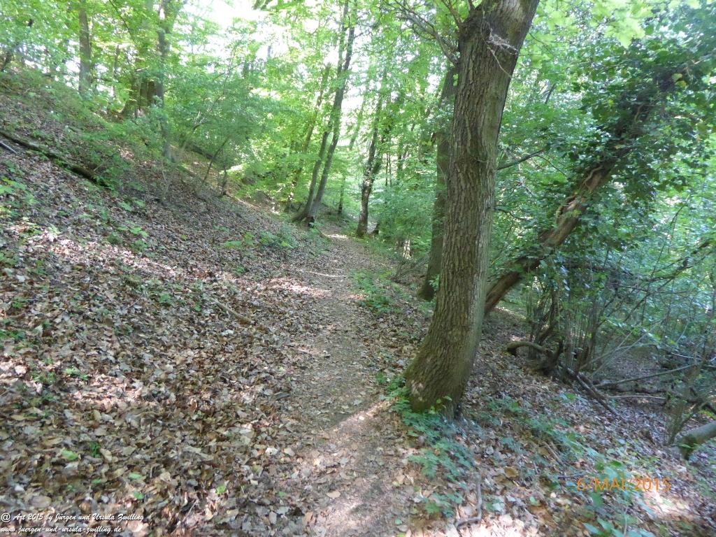 Philosophische Bildwanderung Loreley-Extratour im Mittelrheintal - Zum Superstar der Rheinromantik