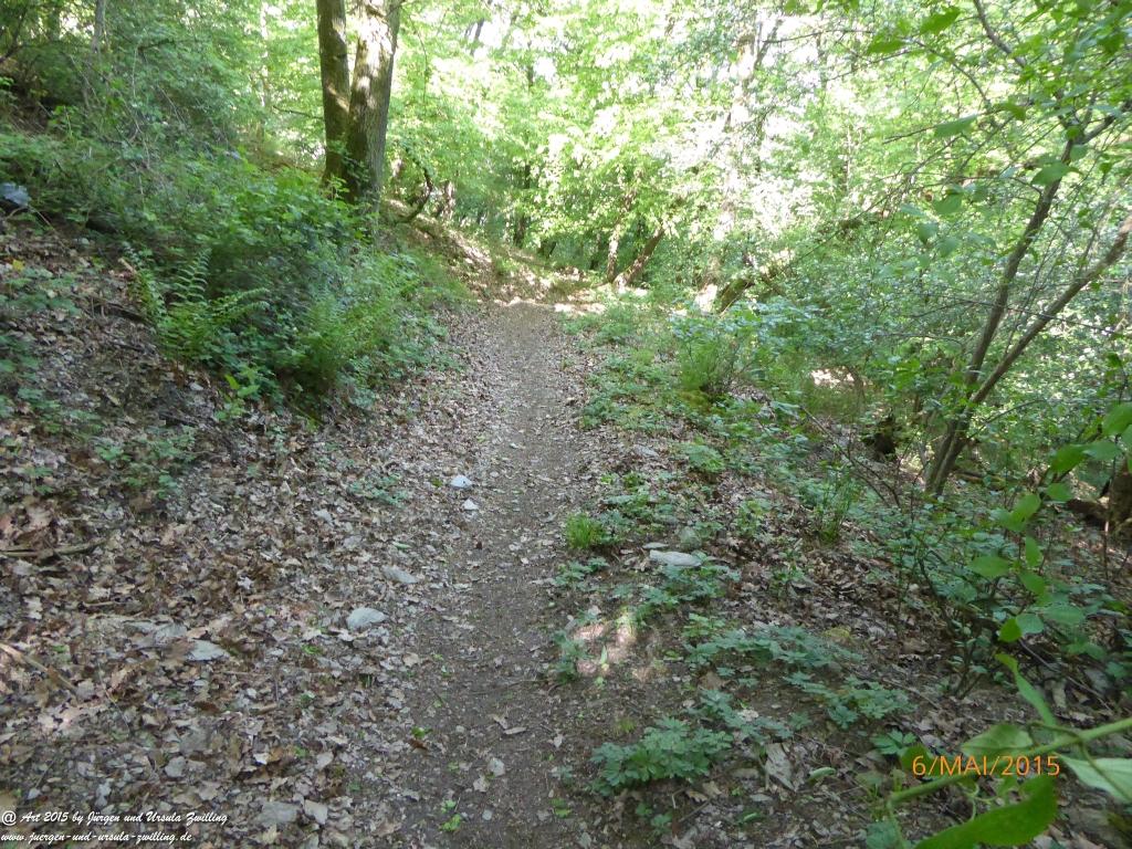 Philosophische Bildwanderung Loreley-Extratour im Mittelrheintal - Zum Superstar der Rheinromantik