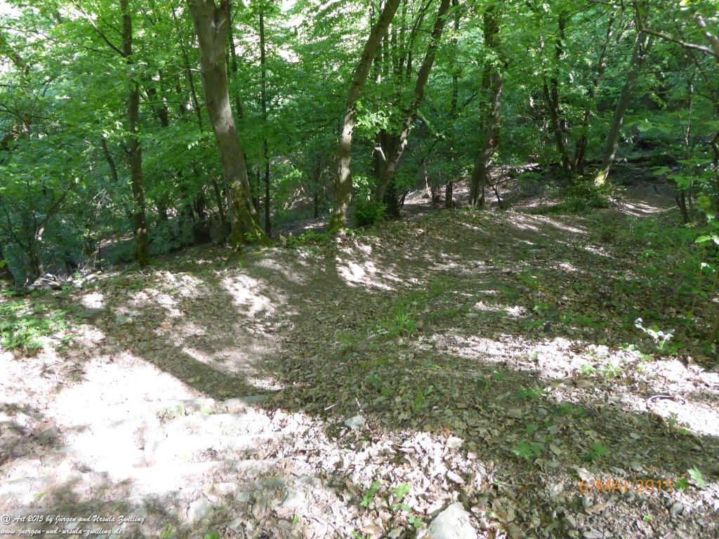 Philosophische Bildwanderung Loreley-Extratour im Mittelrheintal - Zum Superstar der Rheinromantik