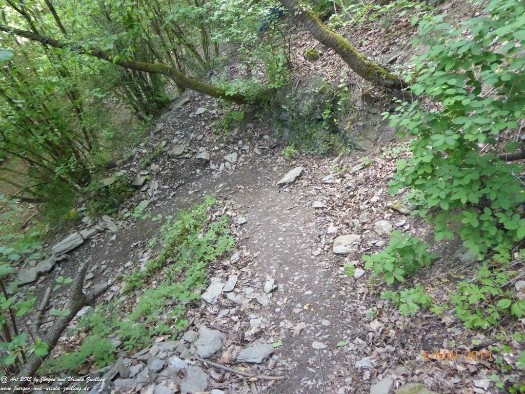 Philosophische Bildwanderung Loreley-Extratour im Mittelrheintal - Zum Superstar der Rheinromantik