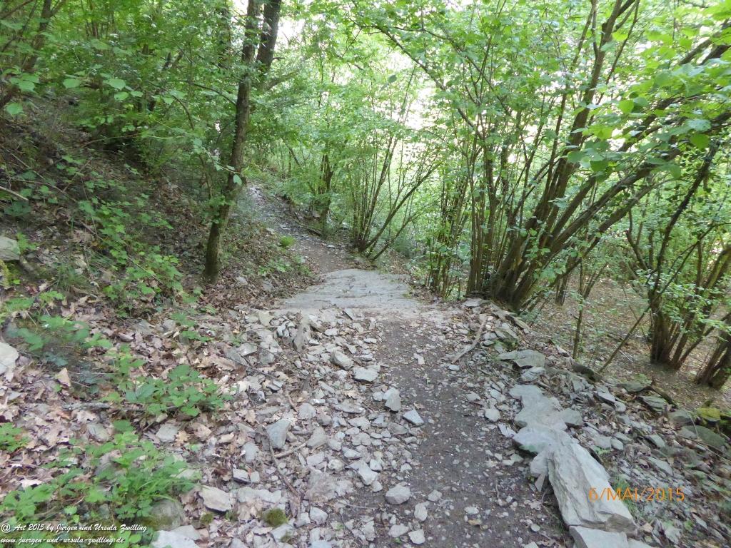 Philosophische Bildwanderung  Loreley-Extratour  im Mittelrheintal - Zum Superstar der Rheinromantik 