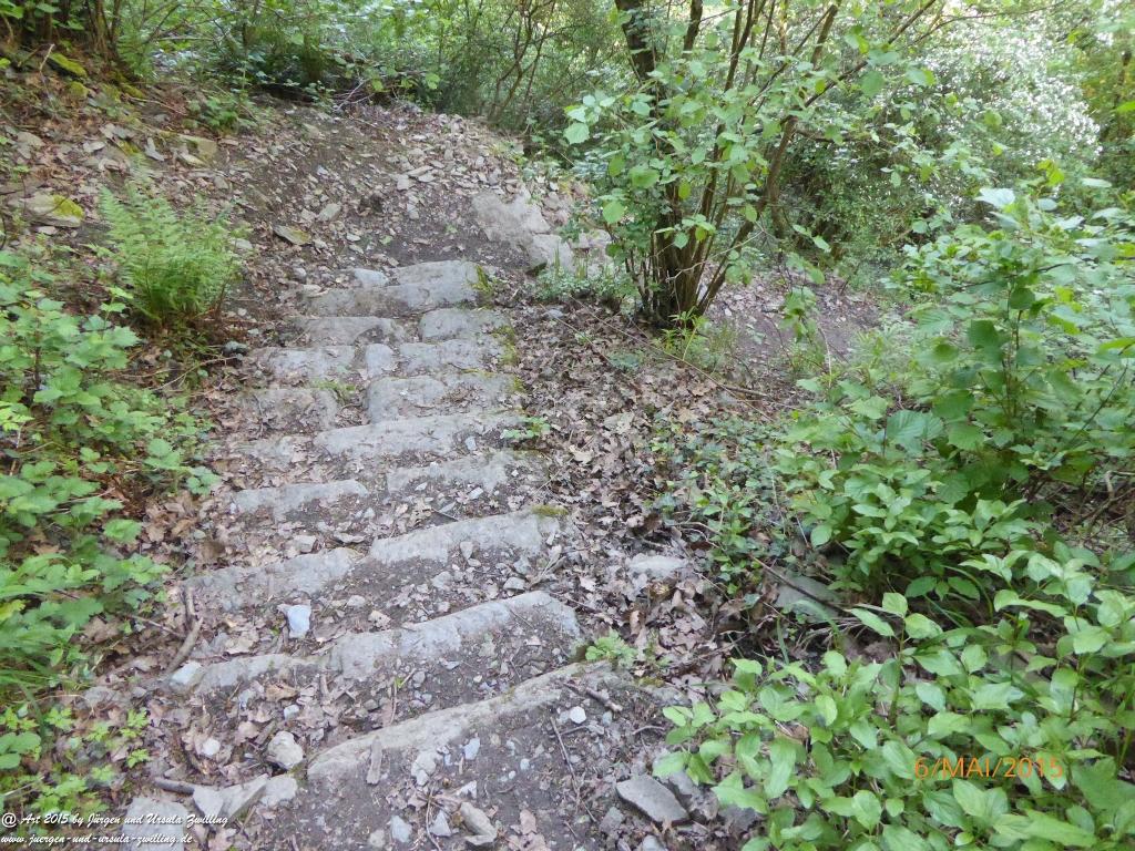 Philosophische Bildwanderung Loreley-Extratour im Mittelrheintal - Zum Superstar der Rheinromantik