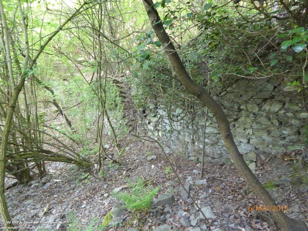 Philosophische Bildwanderung Loreley-Extratour im Mittelrheintal - Zum Superstar der Rheinromantik