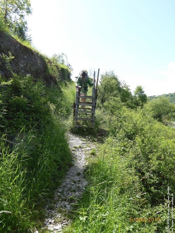 Philosophische Bildwanderung Loreley-Extratour im Mittelrheintal - Zum Superstar der Rheinromantik