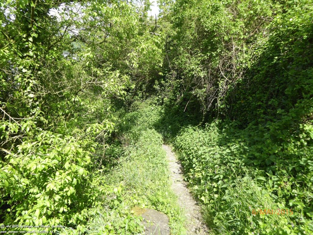 Philosophische Bildwanderung Loreley-Extratour im Mittelrheintal - Zum Superstar der Rheinromantik
