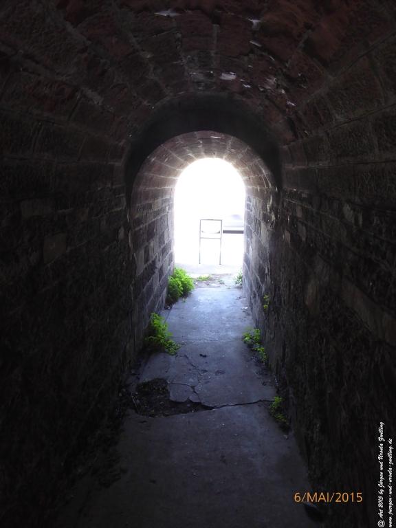 Philosophische Bildwanderung Loreley-Extratour im Mittelrheintal - Zum Superstar der Rheinromantik