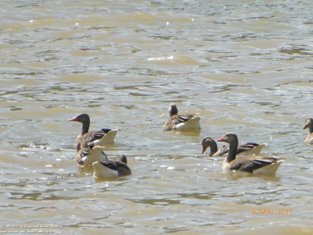 Philosophische Bildwanderung Loreley-Extratour im Mittelrheintal - Zum Superstar der Rheinromantik