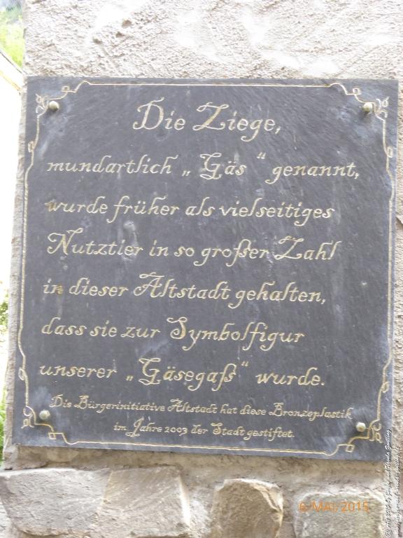 Philosophische Bildwanderung Loreley-Extratour im Mittelrheintal - Zum Superstar der Rheinromantik