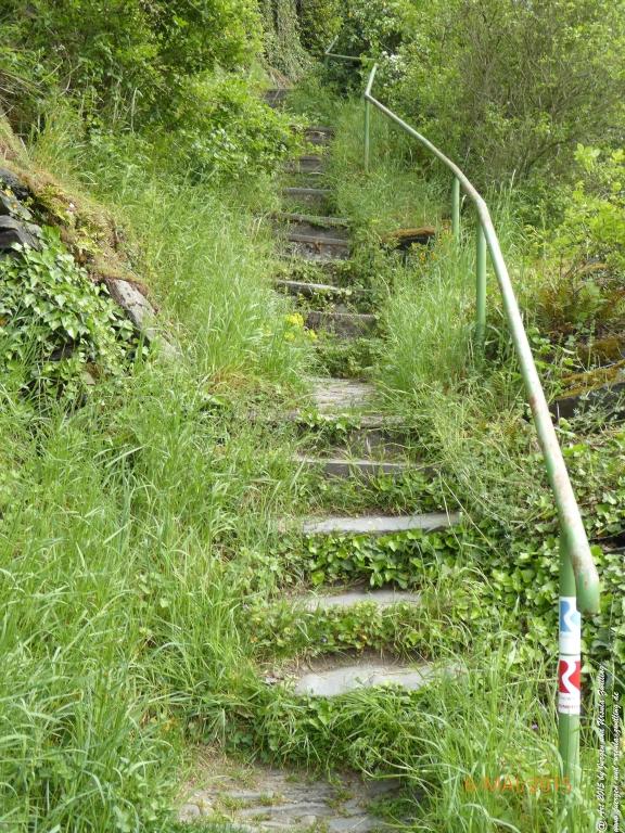Philosophische Bildwanderung Loreley-Extratour im Mittelrheintal - Zum Superstar der Rheinromantik