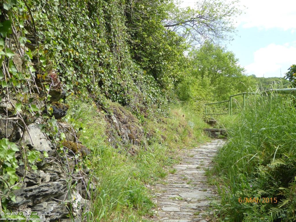 Philosophische Bildwanderung Loreley-Extratour im Mittelrheintal - Zum Superstar der Rheinromantik