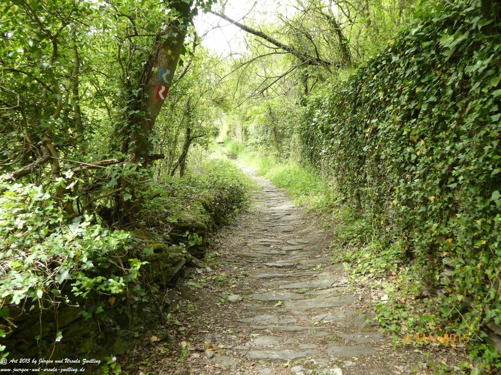Philosophische Bildwanderung Loreley-Extratour im Mittelrheintal - Zum Superstar der Rheinromantik