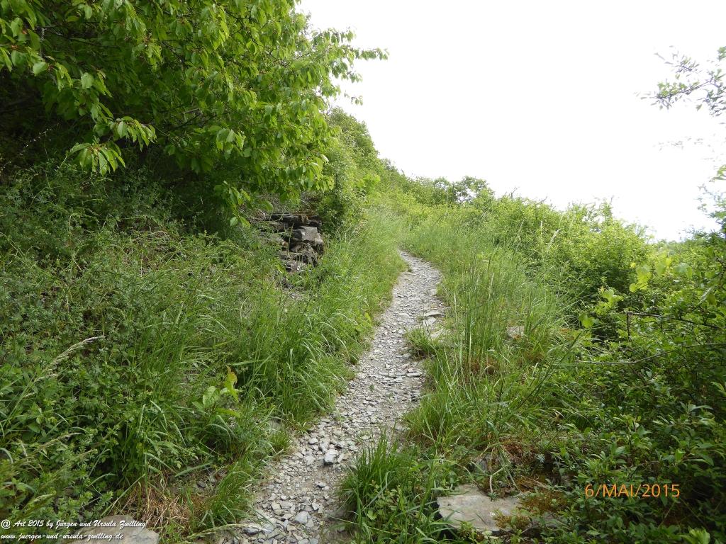 Philosophische Bildwanderung Loreley-Extratour im Mittelrheintal - Zum Superstar der Rheinromantik