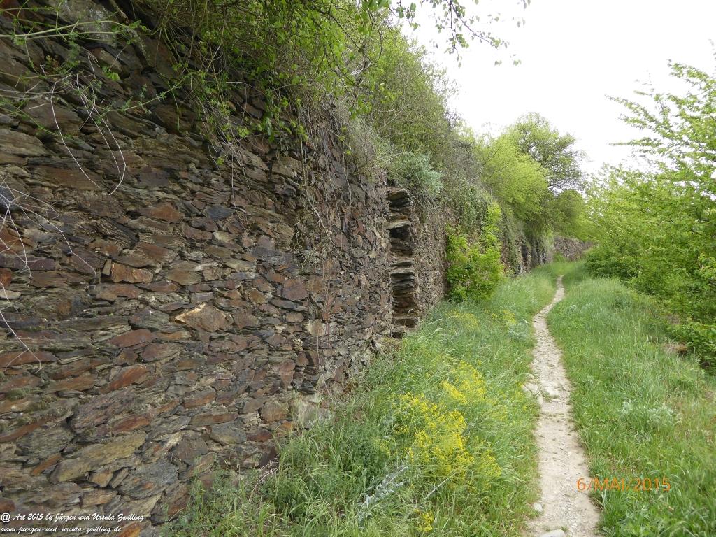 Philosophische Bildwanderung Loreley-Extratour im Mittelrheintal - Zum Superstar der Rheinromantik