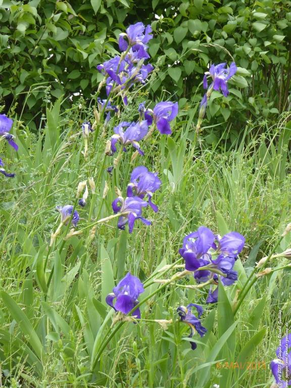 Philosophische Bildwanderung Loreley-Extratour im Mittelrheintal - Zum Superstar der Rheinromantik