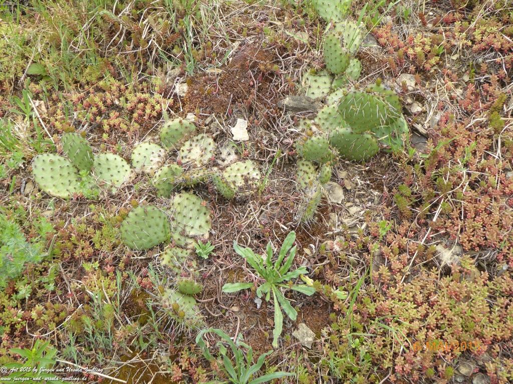 Philosophische Bildwanderung Loreley-Extratour im Mittelrheintal - Zum Superstar der Rheinromantik