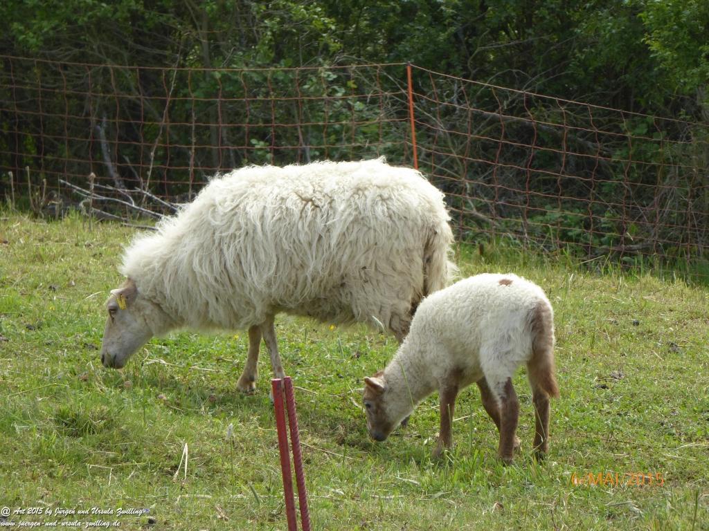 Philosophische Bildwanderung Loreley-Extratour im Mittelrheintal - Zum Superstar der Rheinromantik