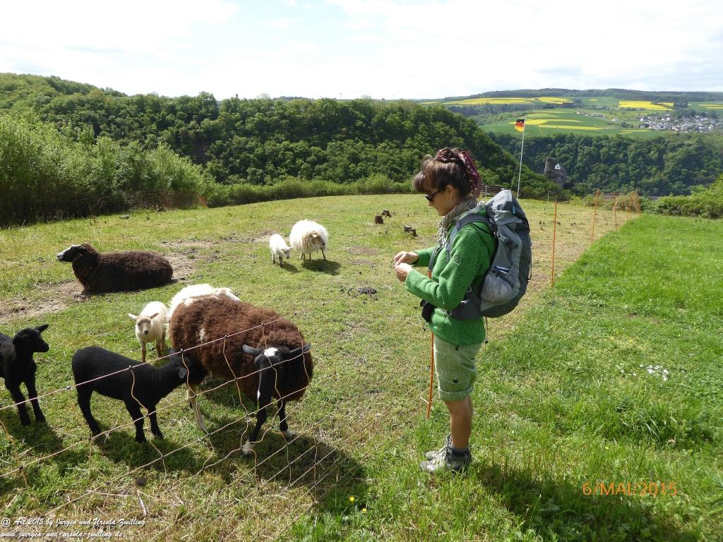 Philosophische Bildwanderung Loreley-Extratour im Mittelrheintal - Zum Superstar der Rheinromantik