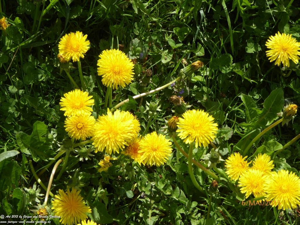 Philosophische Bildwanderung  Loreley-Extratour  im Mittelrheintal - Zum Superstar der Rheinromantik 