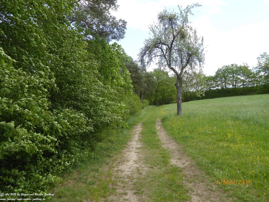 Philosophische Bildwanderung Loreley-Extratour im Mittelrheintal - Zum Superstar der Rheinromantik